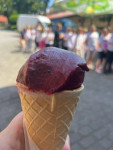 Pielgrzymka 3 klas
